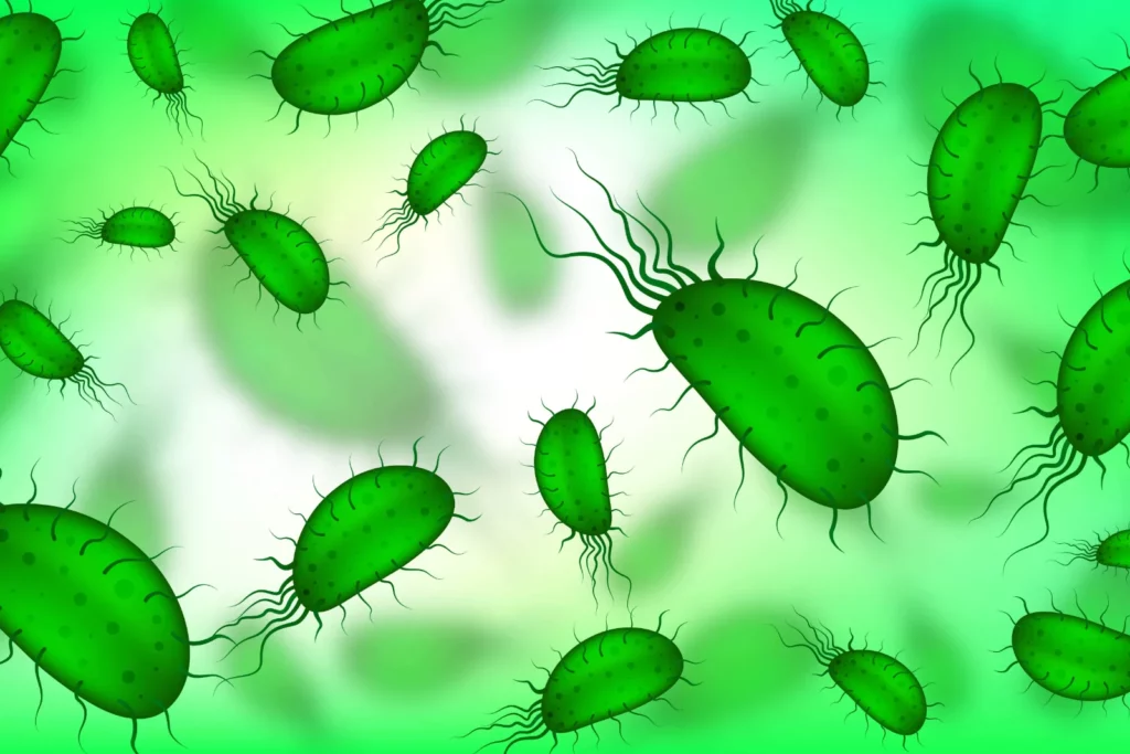 Allergie aux acariens : le guide complet pour comprendre et agir