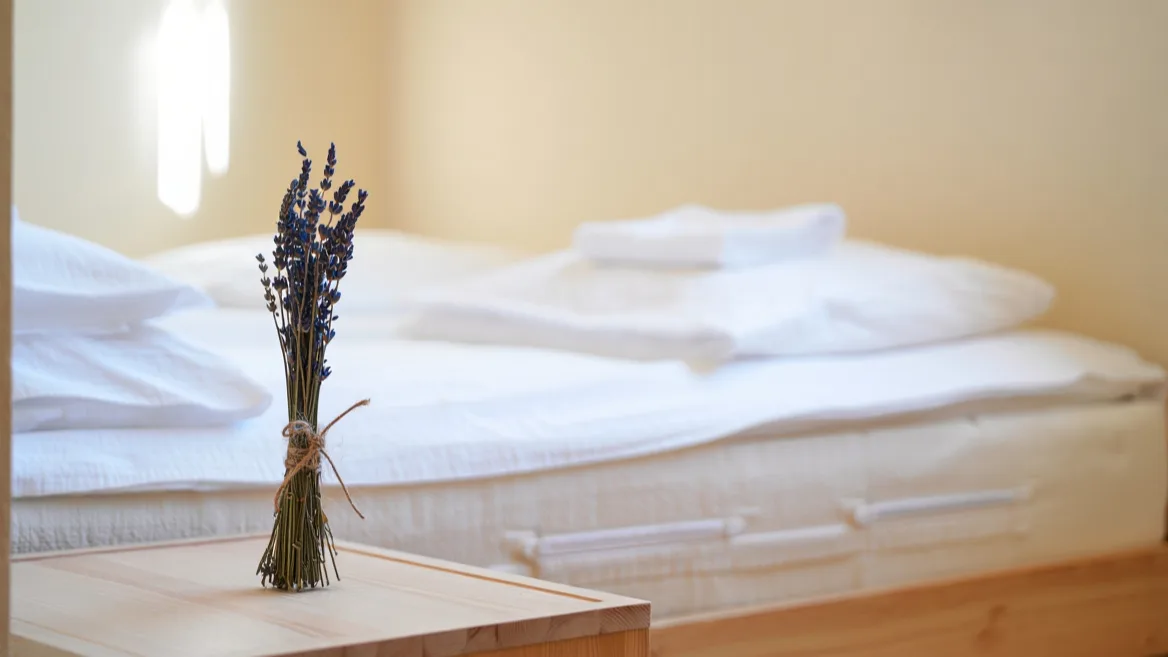 entreprise Nettoyage matelas à domicile