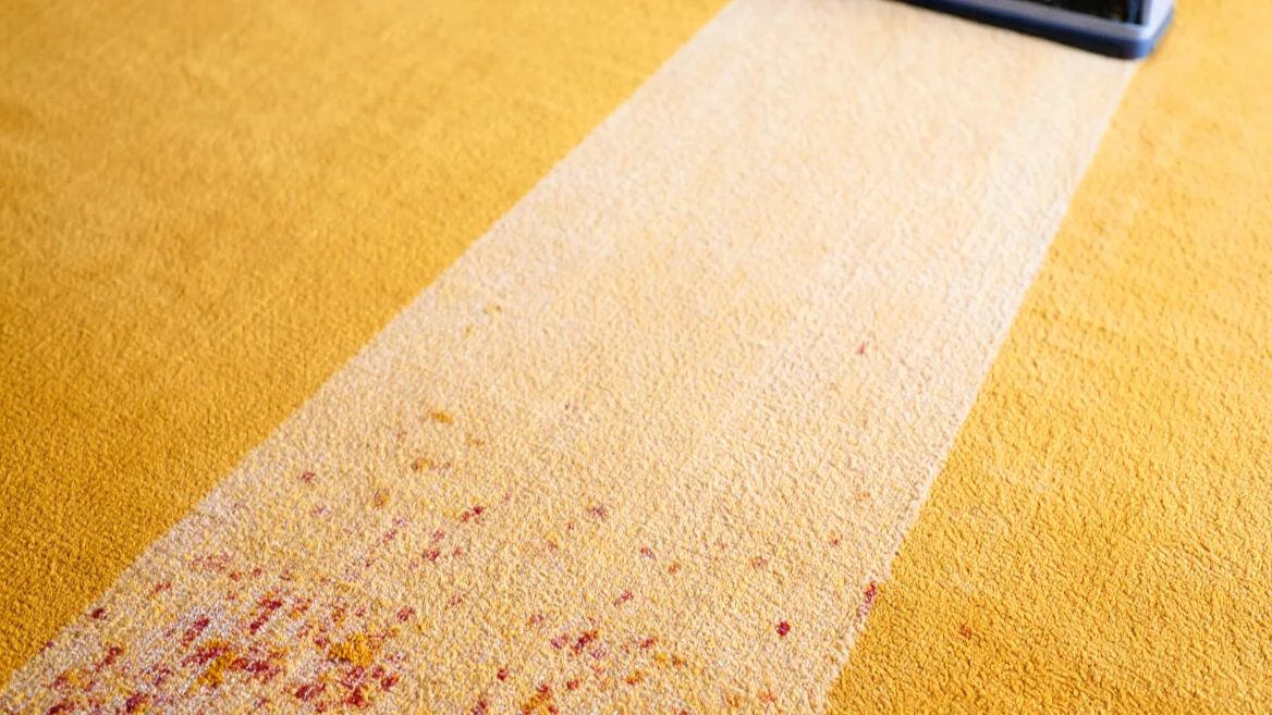 nettoyage tapis_edited.jpg