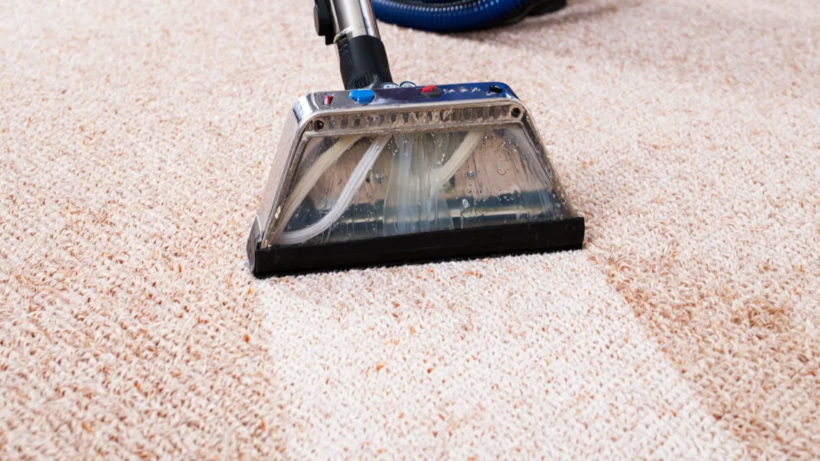 nettoyer en profondeur tapis et moquette