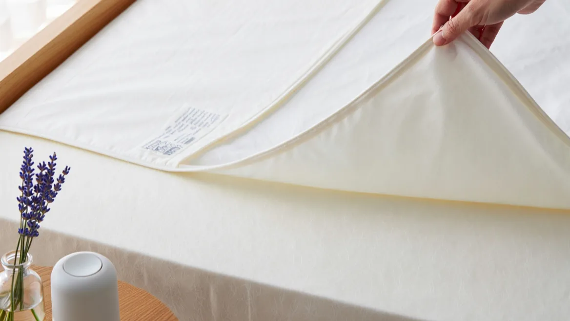 Professionnel Nettoyage matelas à domici