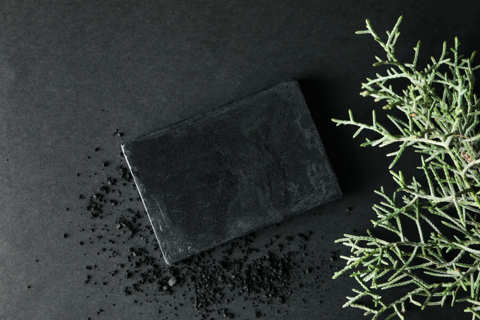 Savon noir solide au charbon posé sur fond sombre avec branche végétale